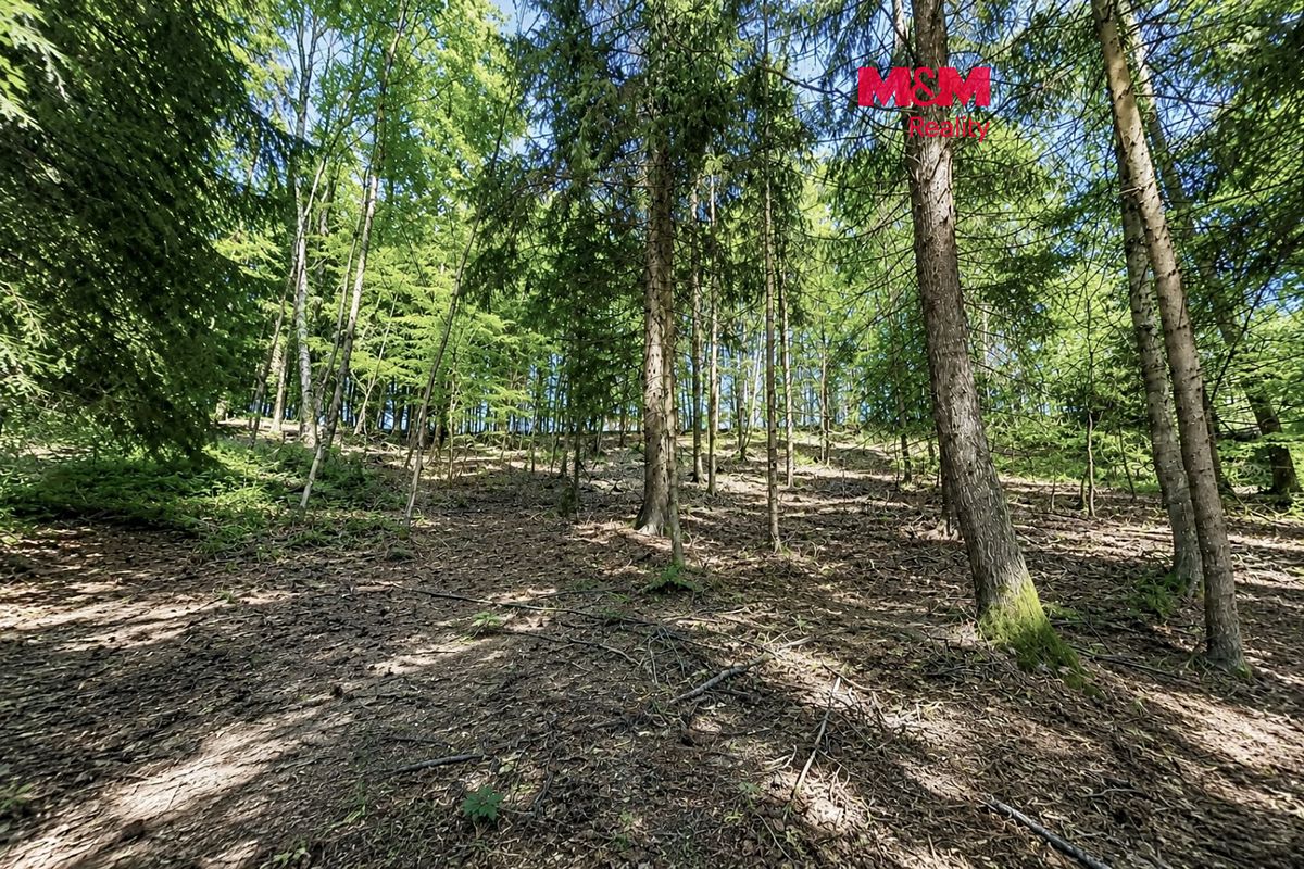 Prodej lesa 6855 m², Jestřebí – fotka 1 z 3
