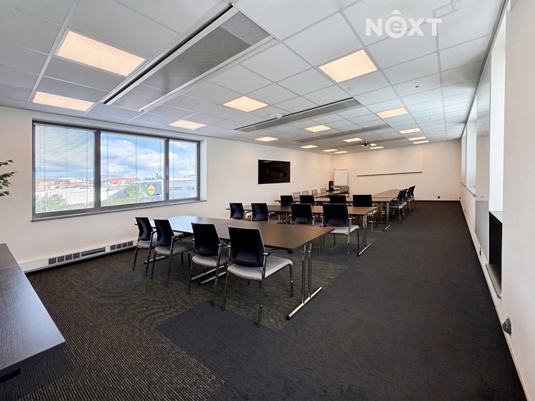 Pronájem komerčního prostoru, 133 m² (12 z 25)