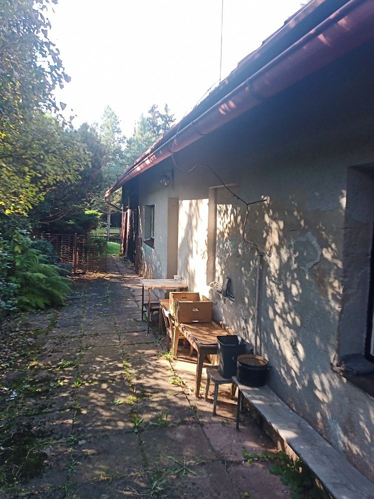 Prodej chalupy 160 m², pozemek 13543 m² – fotografie 5
