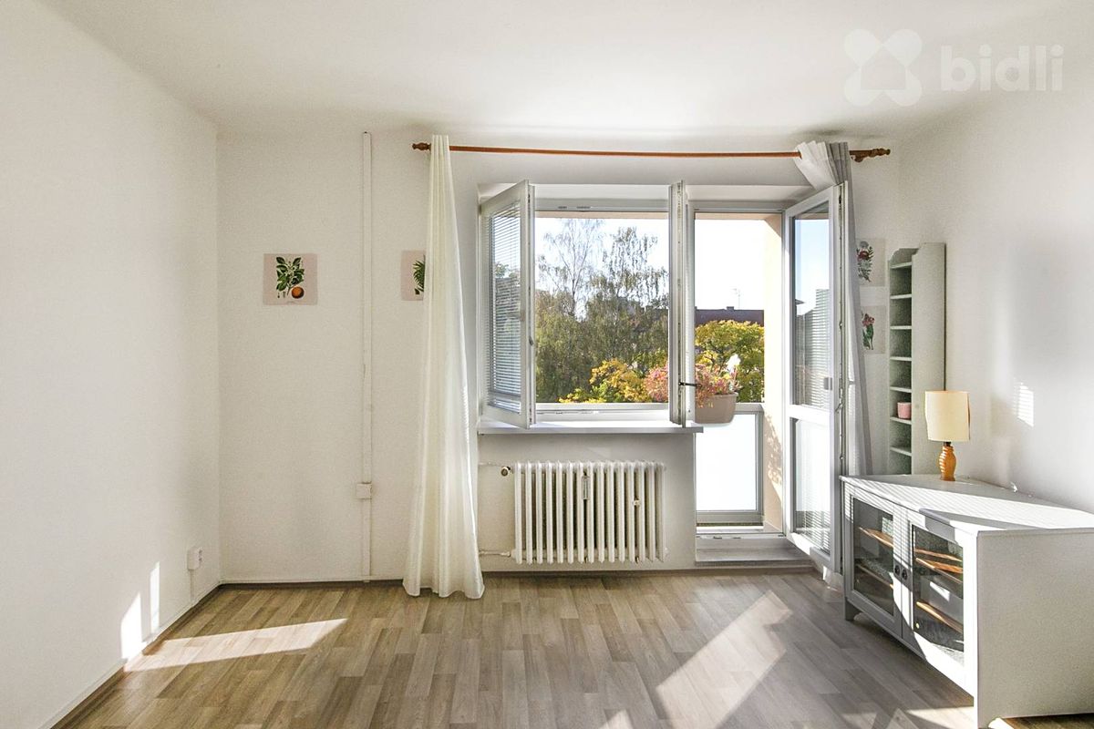 Pronájem bytu 1+1 37 m²
