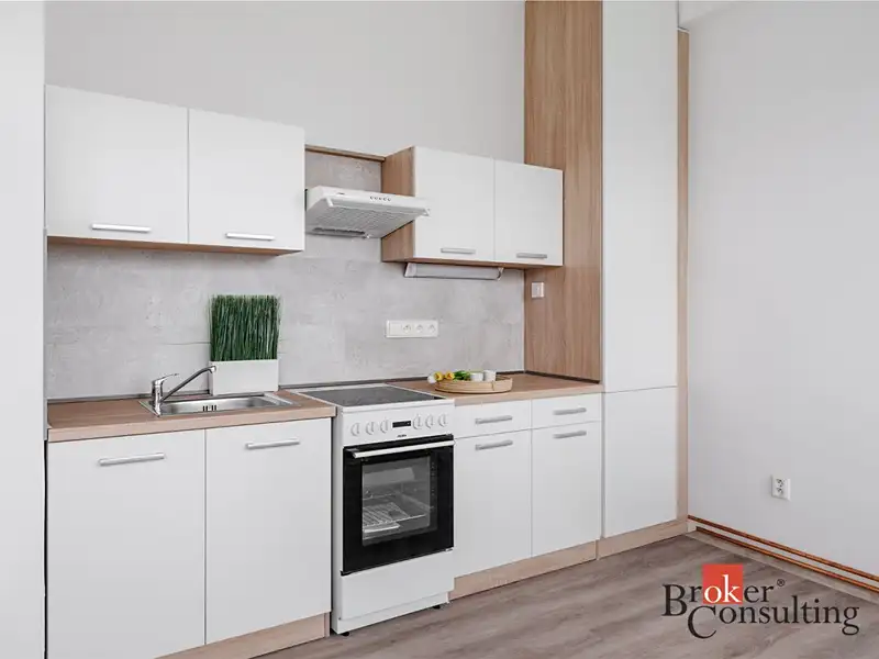 Pronájem bytu 2+kk 57 m², Mlékojedy – náhled fotky 1