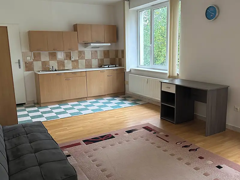 Pronájem bytu 1+kk 35 m², Průhonice – náhled fotky 3