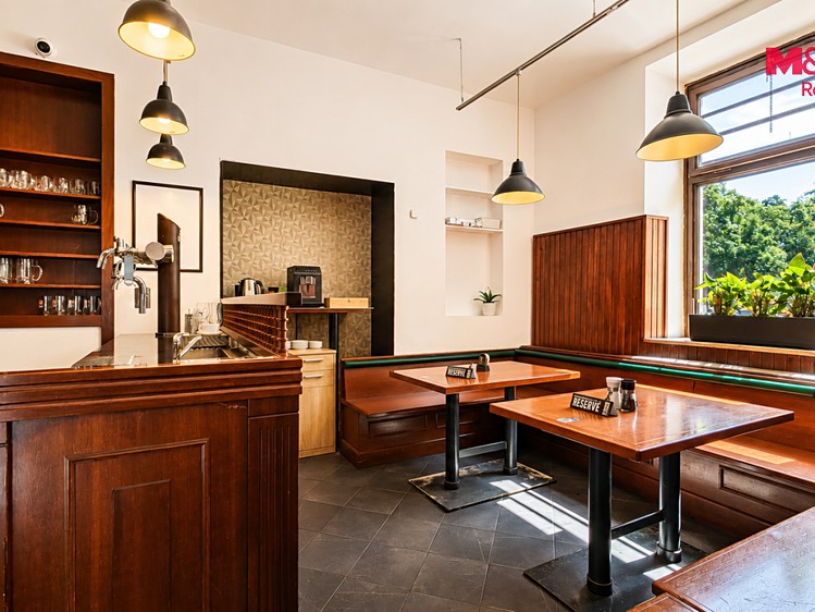 Pronájem komerčního prostoru, 194 m² (7 z 20)
