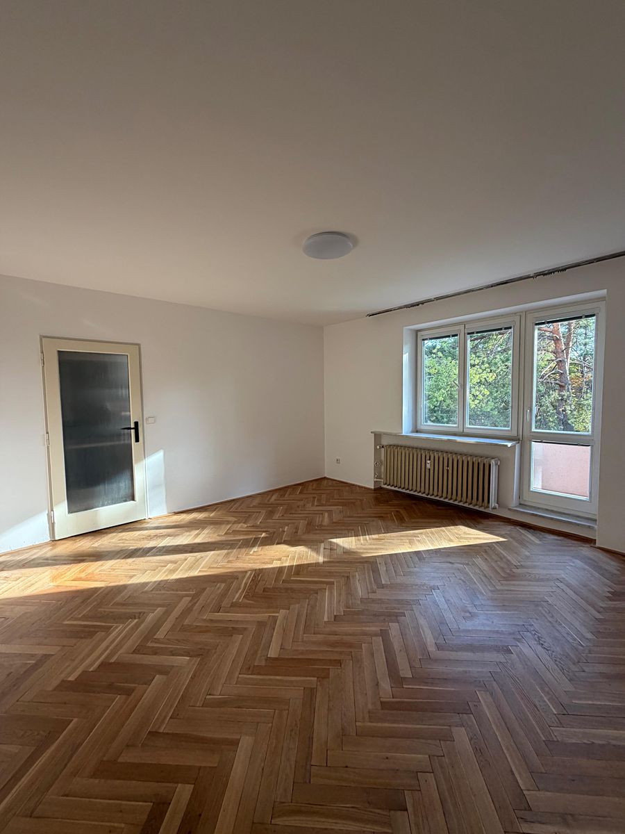 Pronájem bytu 1+1 38 m², Brno – fotka 1 z 3