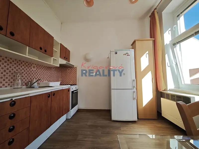 Pronájem bytu 1+1 64 m², České Budějovice – náhled fotky 1