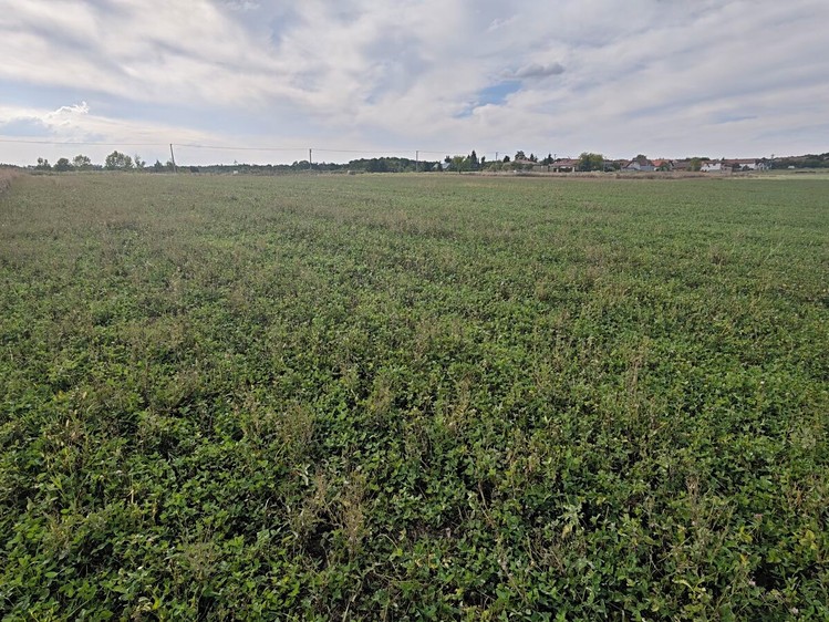 Ділянка на продаж, 3 767 м² (11 з 11)