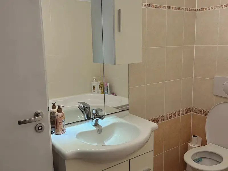 Prodej bytu 2+kk 44 m², Vochov – náhled fotky 3