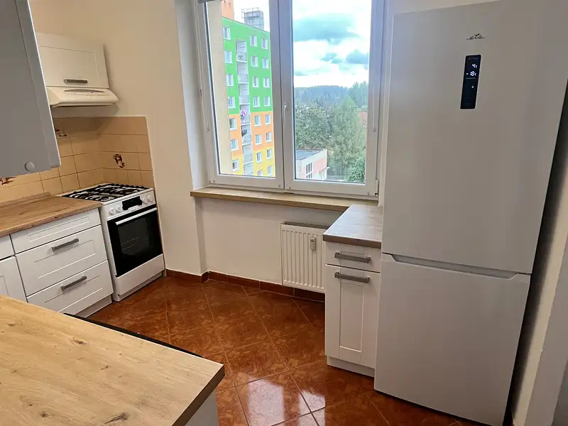 Pronájem bytu 3+1 60 m², Planá – náhled fotky 2