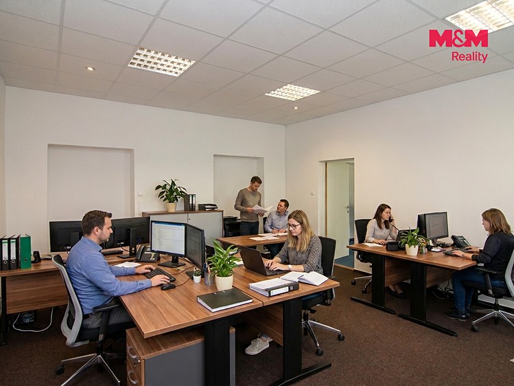 Комерційне приміщення в оренду, 215 м² (13 з 24)