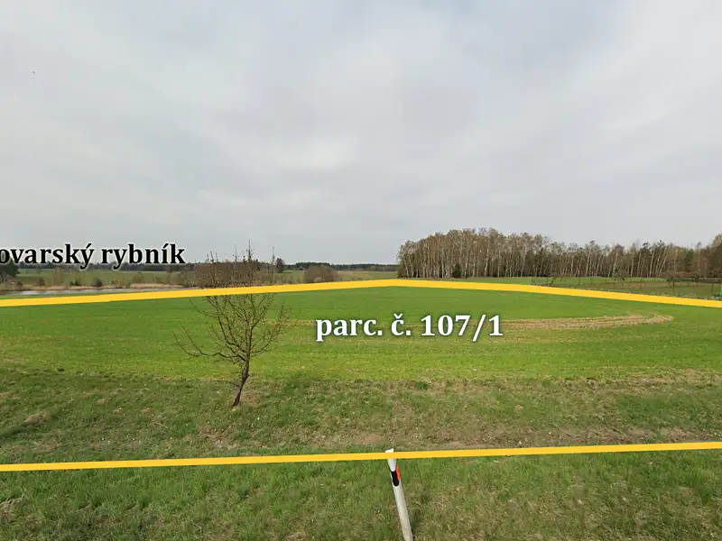 Prodej pole 6762 m², Rodvínov – náhled fotky 3