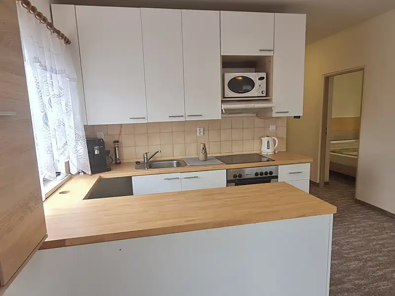 Pronájem bytu 2+kk 45 m², Karlovy Vary – náhled fotky 2