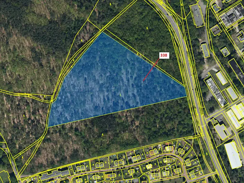 Dražba lesa 37060 m², Rybitví – náhled fotky 2