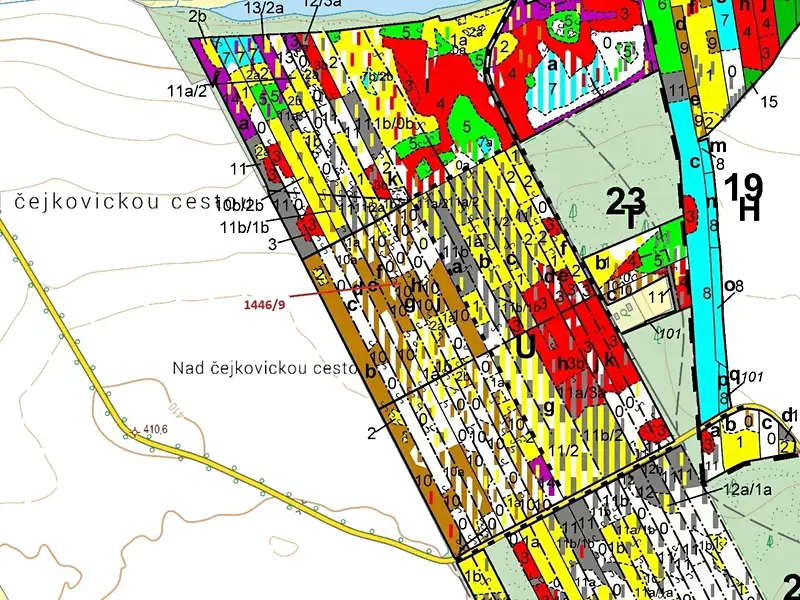 Dražba lesa 19879 m², Břehov – náhled fotky 3