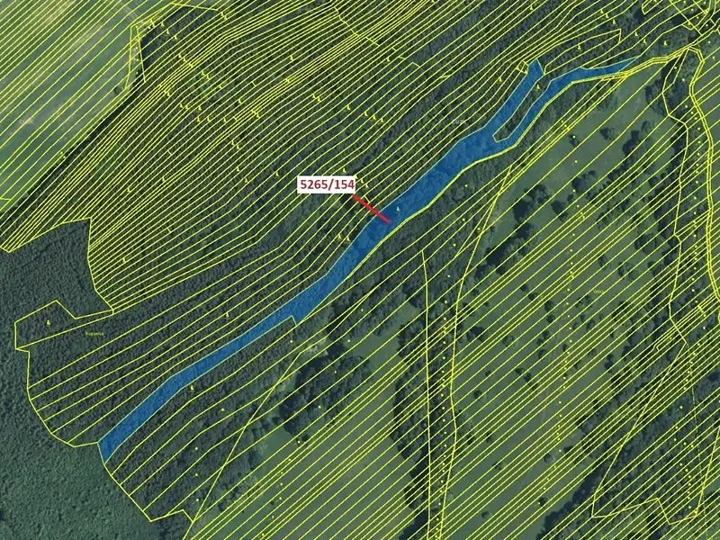 Dražba lesa 16804 m², Strání – náhled fotky 2