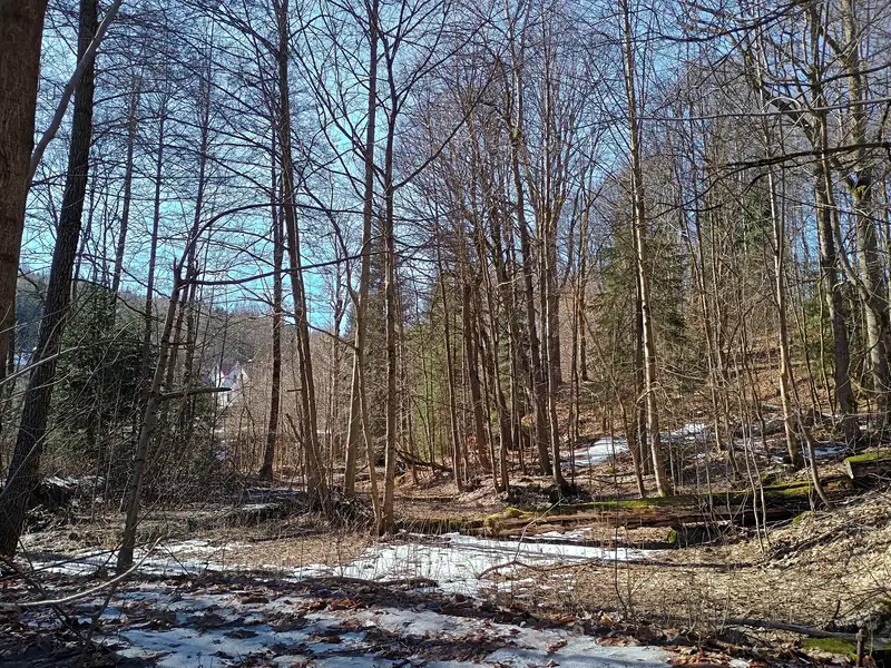 Prodej pozemku 3317 m², Smržovka – náhled fotky 2