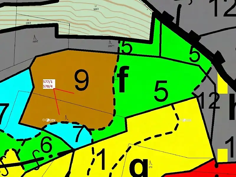 Dražba lesa 10642 m², Leskovec – náhled fotky 3