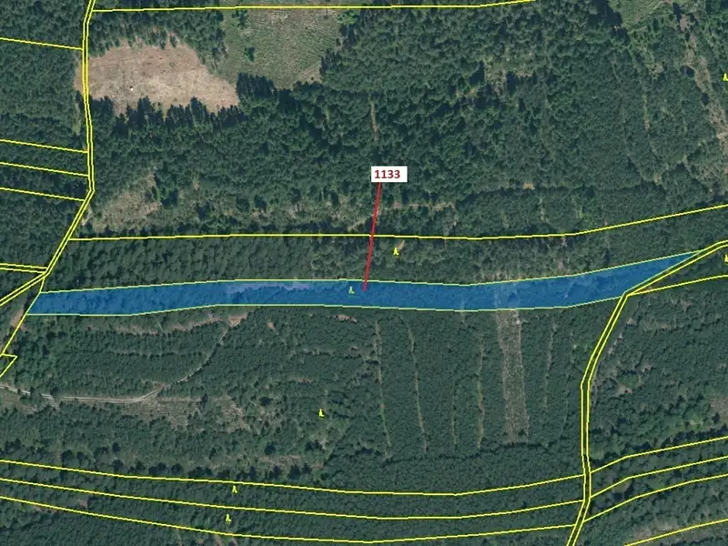 Dražba lesa 7895 m², Jesenice – náhled fotky 2
