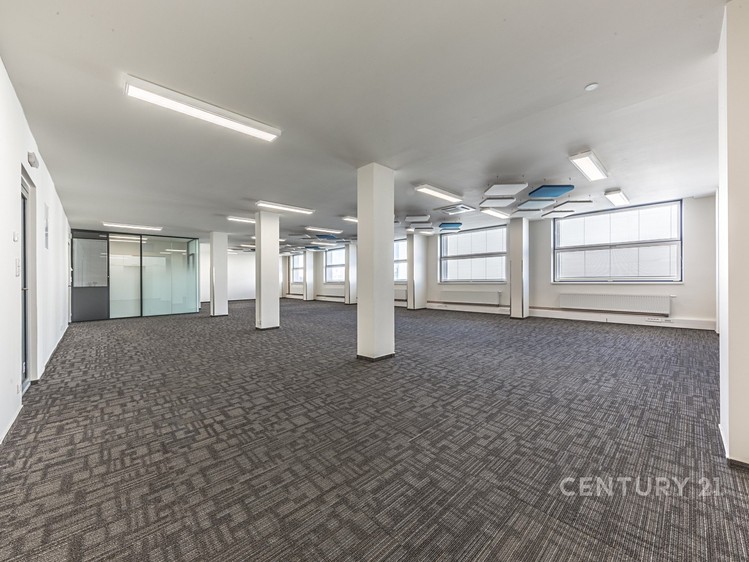 Pronájem komerčního prostoru, 152 m² (7 z 13)