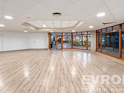 Pronájem komerčního prostoru, 132 m² (3 z 8)