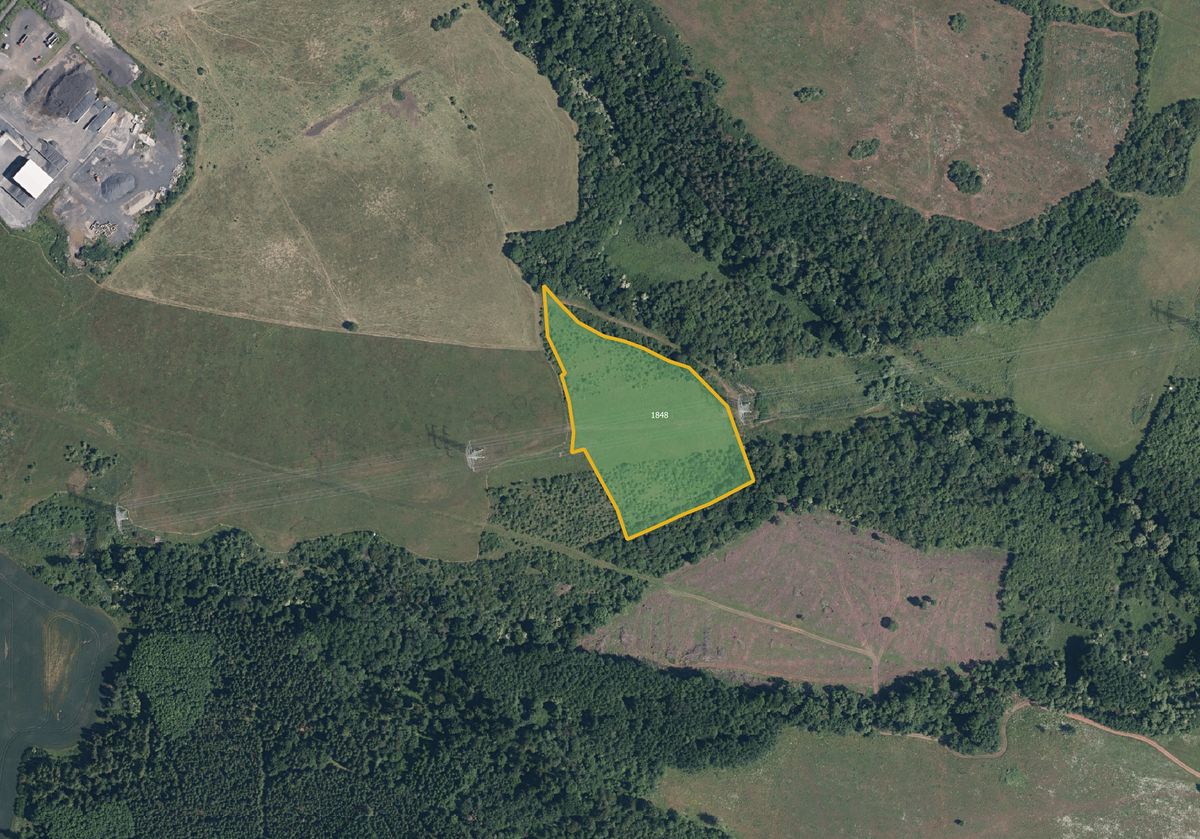 Prodej louky 24125 m², Vrbice – fotka 1 z 3