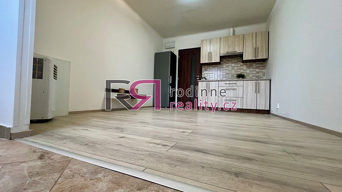 Pronájem bytu 1+kk 20 m²