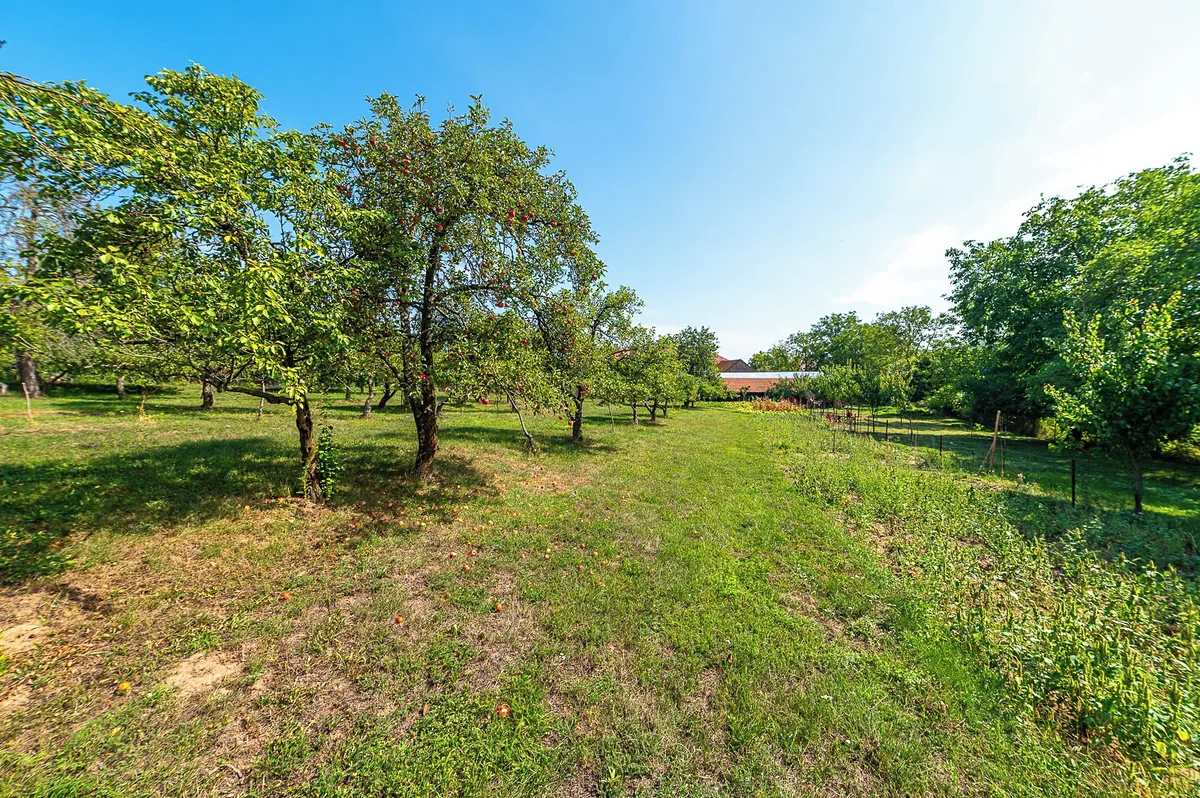 Fotka 5 z 6