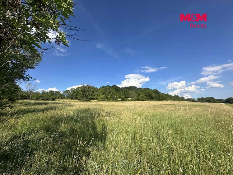Grundstück zum Kauf, 625 m² (7 von 11)