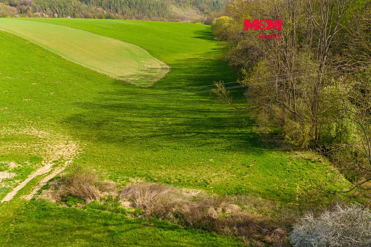 Prodej pole 4100 m²