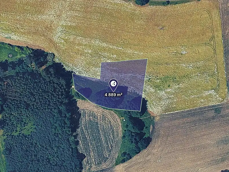Prodej louky 4889 m², Bystřice – náhled fotky 1
