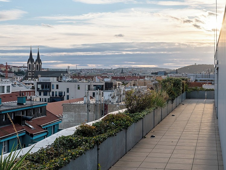 Gewerbefläche zur Miete, 458 m² (7 von 10)