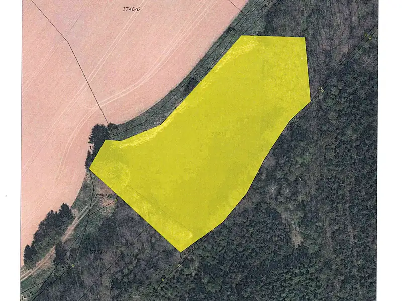 Prodej rybníku (vodní plochy) 5929 m², Třešť – náhled fotky 1