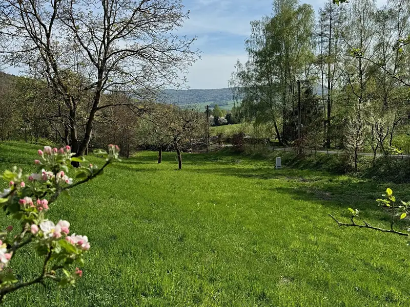 Prodej stavebního pozemku 1706 m², Žandov – náhled fotky 2