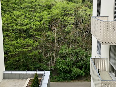 Wohnung 2+kk zur Miete, 61 m² (3 von 13)