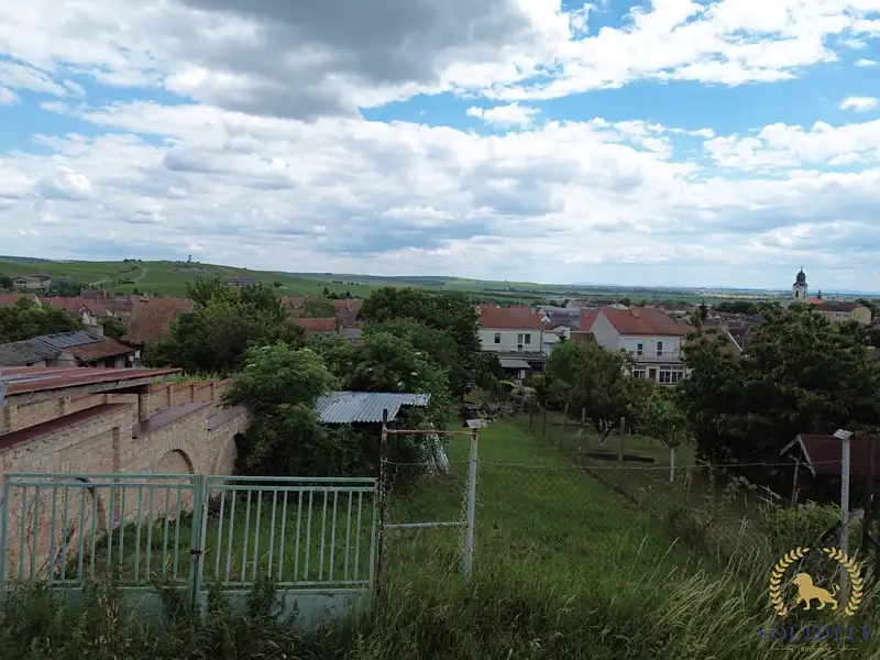 Prodej zahrady 360 m², Velké Pavlovice – náhled fotky 3