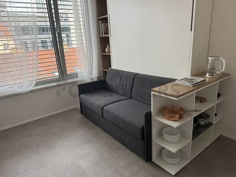 Pronájem bytu 1+kk 20 m², Praha – náhled fotky 3