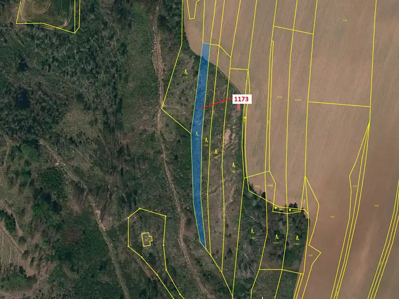 Dražba lesa 1726 m², Vladislav – náhled fotky 2