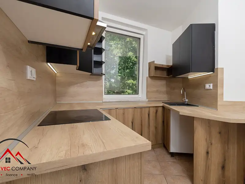 Pronájem bytu 1+1 46 m², Ostrava – náhled fotky 2