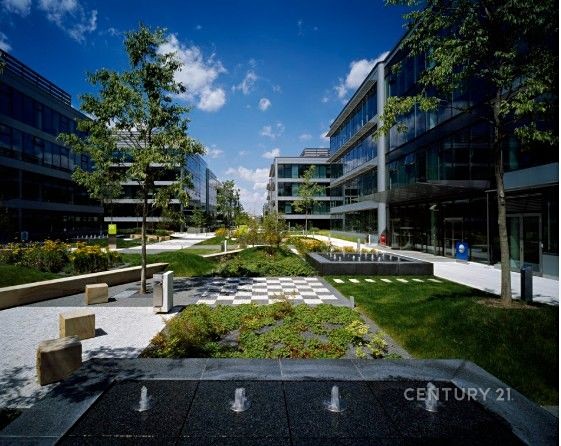 Gewerbefläche zur Miete, 2.041 m² (2 von 9)