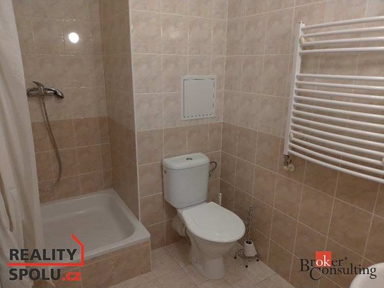 Wohnung 1+kk zur Miete, 34 m² (6 von 10)
