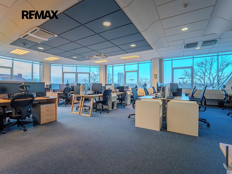 Pronájem komerčního prostoru, 540 m² (3 z 28)
