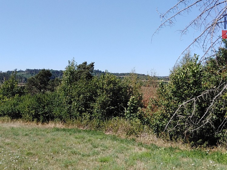Grundstück zum Kauf, 9.664 m² (6 von 6)