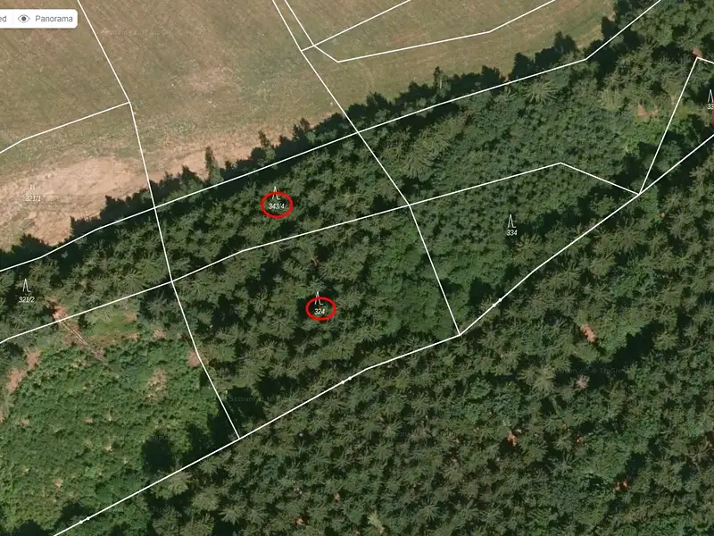Prodej lesa 6298 m², Mnichov – náhled fotky 3