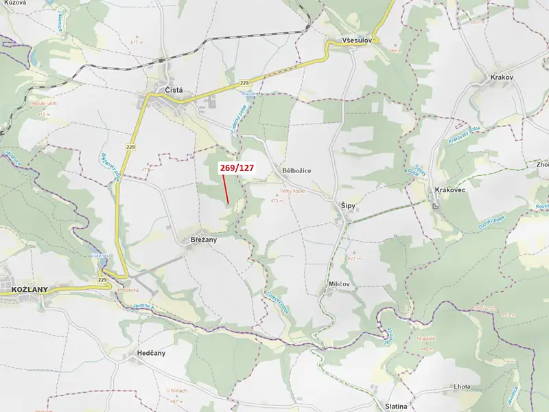 Dražba lesa 186 m², Břežany – náhled fotky 1