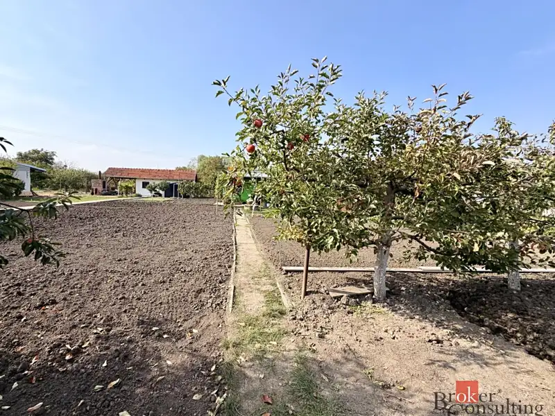 Prodej zahrady 401 m², Podivín – náhled fotky 1