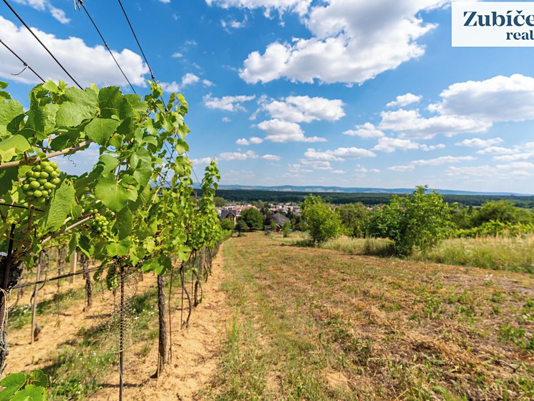 Prodej pozemku, 2 654 m² (5 z 18)
