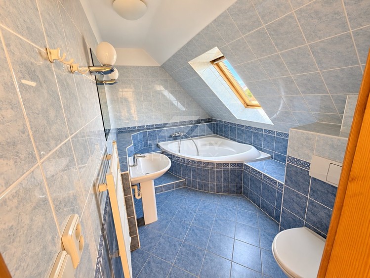 Будинок в оренду, 250 м² (13 з 26)