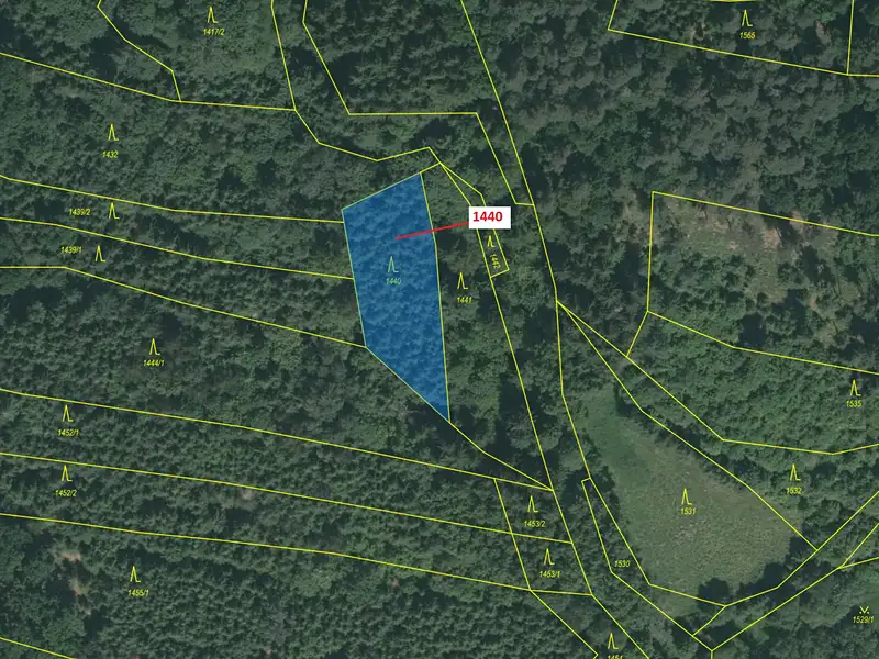 Dražba lesa 1097 m², Dražice – náhled fotky 2