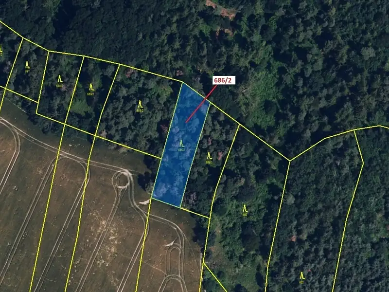 Dražba lesa 1381 m², Přemyslovice – náhled fotky 2