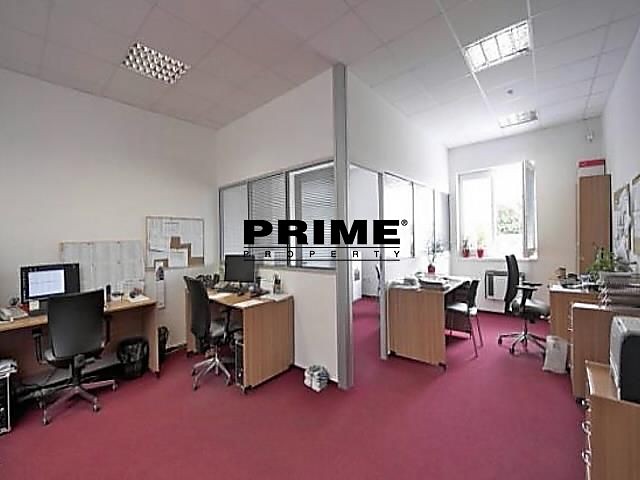 Pronájem komerčního prostoru, 1 395 m² (8 z 28)