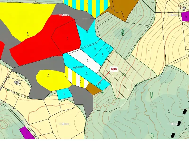 Dražba lesa 90 m², Zavlekov – náhled fotky 3